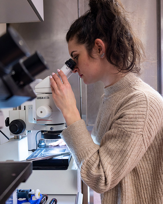 Ecovative Spawn and Substrate Mycologist at work in lab